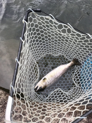 アウトドアビレッジ発光路の森フィッシングエリア