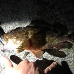 疲れた身体に鞭打って