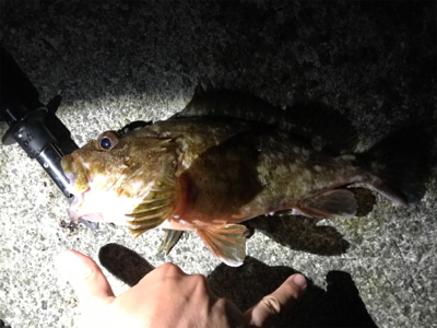 疲れた身体に鞭打って