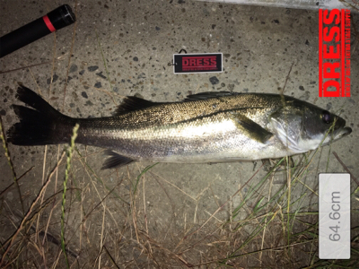 バチパターン！