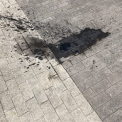 コウイカ エギング