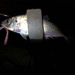 クーラー満タン