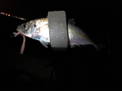 クーラー満タン