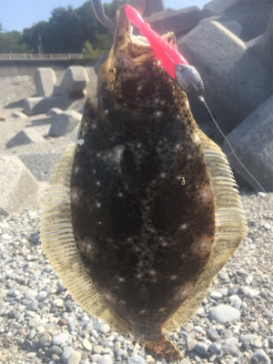 中潮  朝マズメ