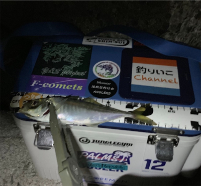 久しぶりのアジング