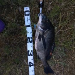 まづめチニング