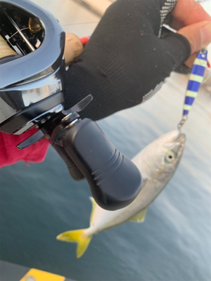 ツバスシーバスまたツバス♫