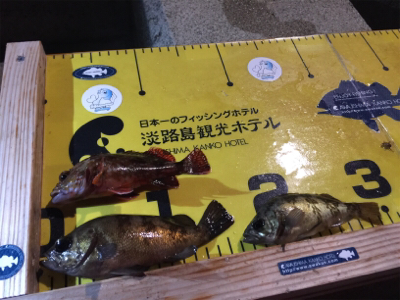 プライベート釣り場より