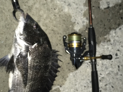 雨上がりアゲアゲ