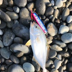 七里御浜ショアジギング
