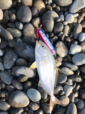 七里御浜ショアジギング