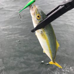 どこまでやってもツバス