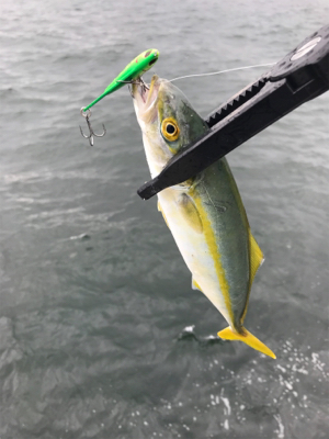 どこまでやってもツバス