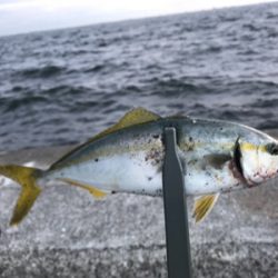 爆風の朝ケーソン