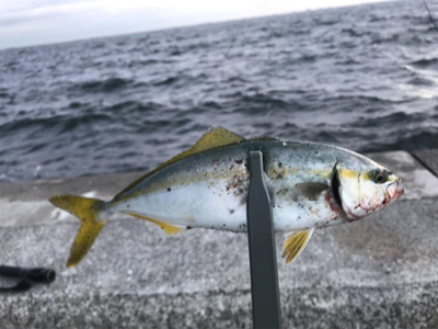 爆風の朝ケーソン