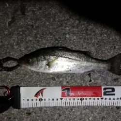 チーバスパラダイス