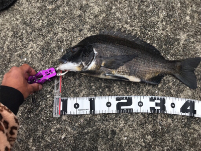 初、目印の落とし込み釣り