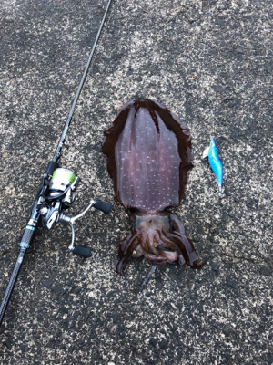 きっちり合わせたりました(^^)