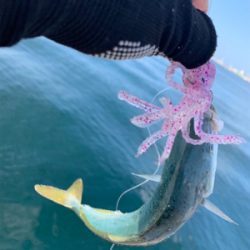 わがままなツバス