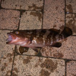 あたり少なく苦戦