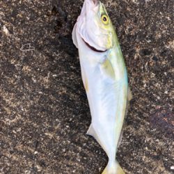 ツバスツバスツバス