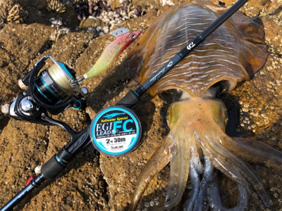 鷹島サーフエギング