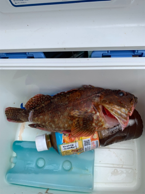 磯ROCKからのゴロタROCK