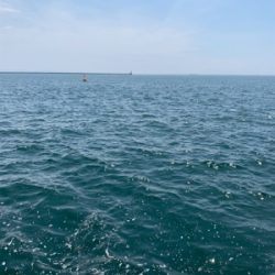 ルアーと同じサイズのツバス