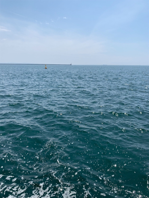 ルアーと同じサイズのツバス