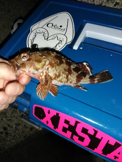 やっちまったな