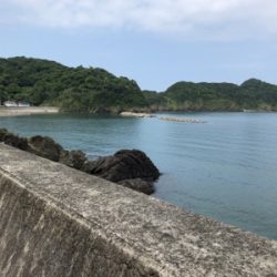 キスのチョイ投げ