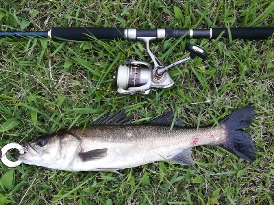 ソルトルアーマン1800〜2145