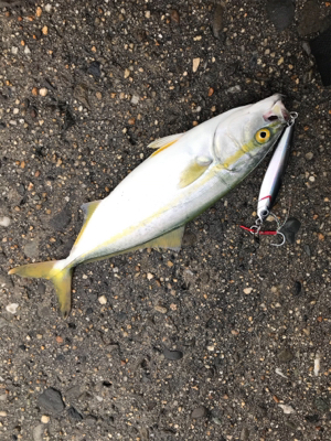 ツバスめちゃおる！