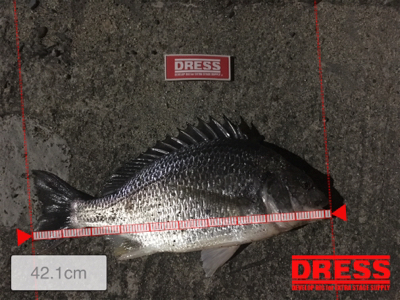 なんとか令和初キビレ今頃w