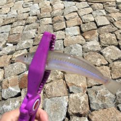 片男波でキス釣り