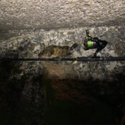 仕事終わりチニング