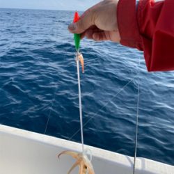 マイボートでイカ調査&キャスティングゲーム