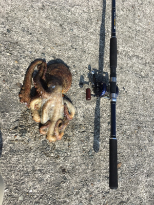 キロ超えならず…