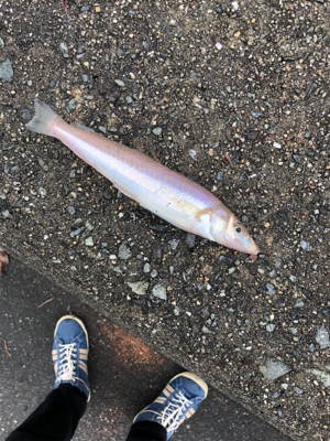 キスリベンジ？