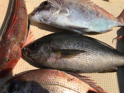 スーパーライトジギング