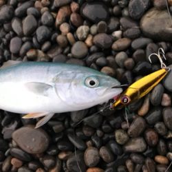 七里御浜ショアジギング