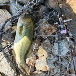 赤ちゃんだらけ