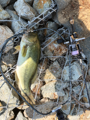 赤ちゃんだらけ