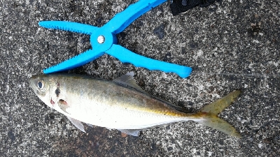 今シーズン最大