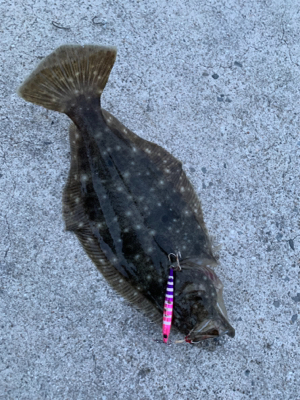 高級天然美味魚！