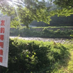 吉田川釣行