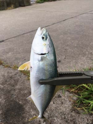 スーパーライトショアジギング