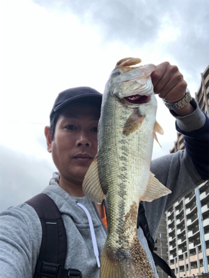 いきなり来た‼︎