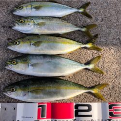 暴風の中、回遊タイミングでの積み上げ^_^