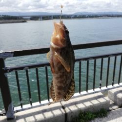 子供と一緒にチョイ投げる